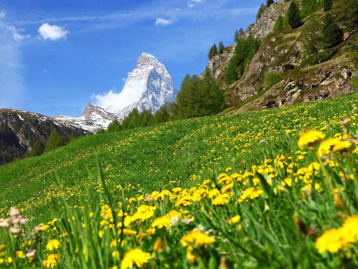 Apartment Dianthus-1 By Interhome Zermatt Exterior foto